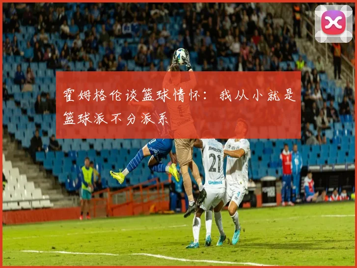 霍姆格伦谈篮球情怀：我从小就是篮球派不分派系