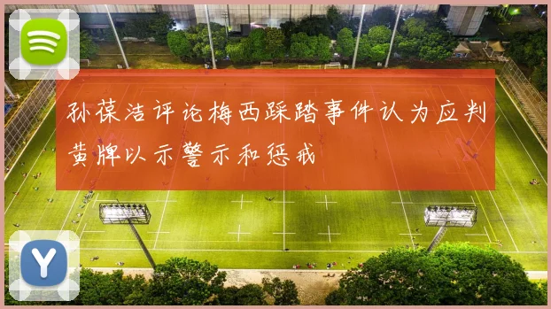 孙葆洁评论梅西踩踏事件认为应判黄牌以示警示和惩戒