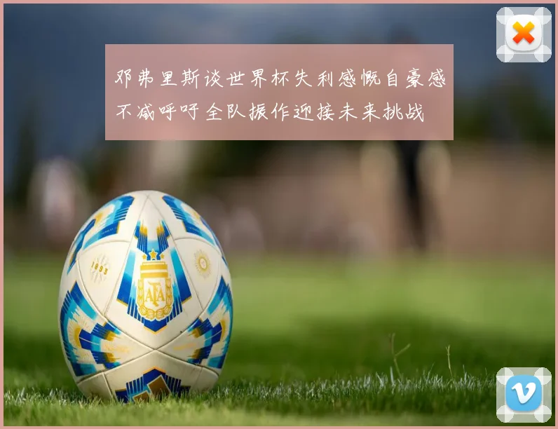 邓弗里斯谈世界杯失利感慨自豪感不减呼吁全队振作迎接未来挑战